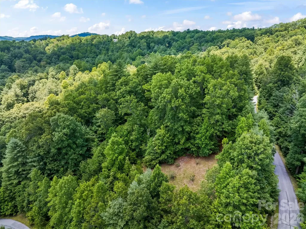Lot 21 Big Raven Lane Saluda NC 28773
