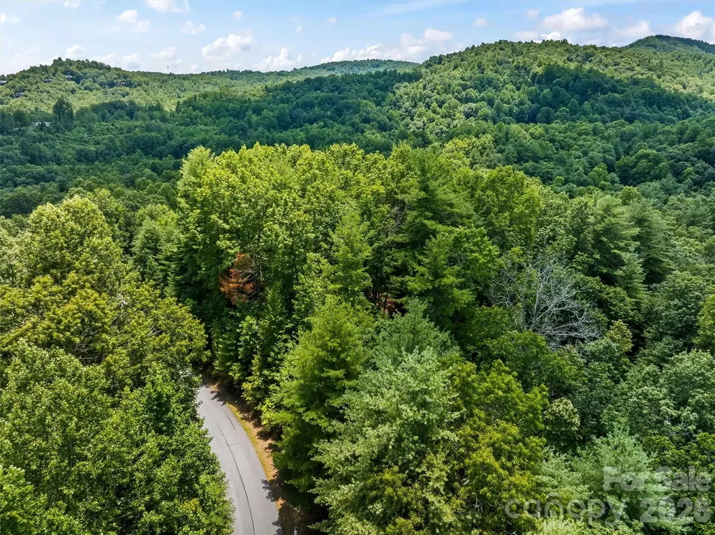 Lot 21 Big Raven Lane Saluda NC 28773
