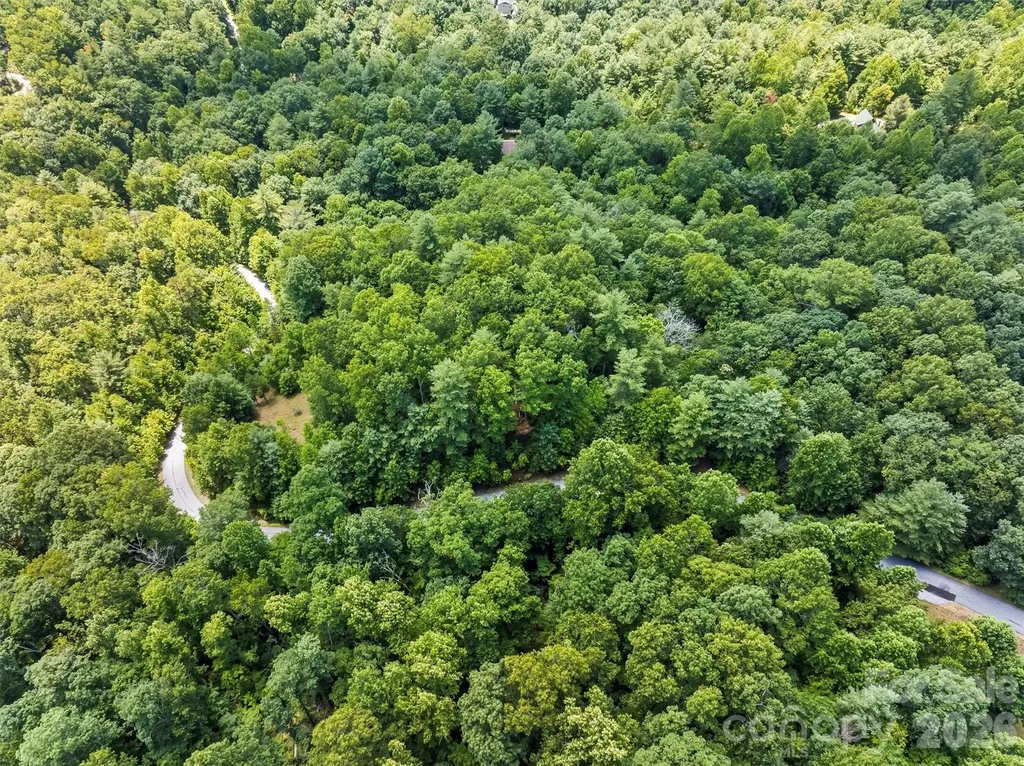 Lot 21 Big Raven Lane Saluda NC 28773