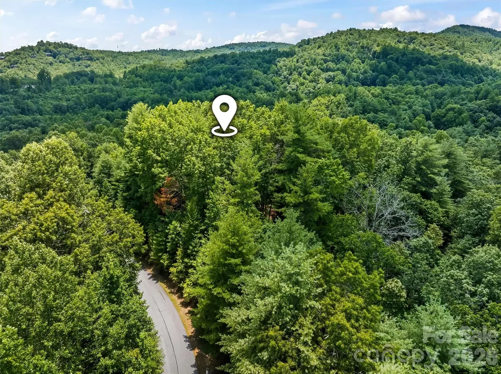 Lot 21 Big Raven Lane Saluda NC 28773