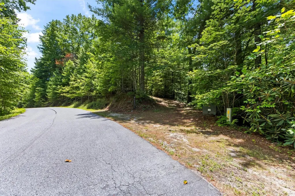 Lot 21 Big Raven Lane Saluda NC 28773