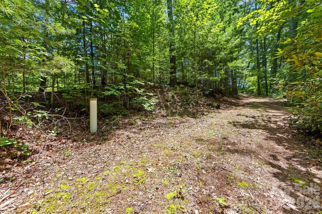 Lot 21 Big Raven Lane Saluda NC 28773