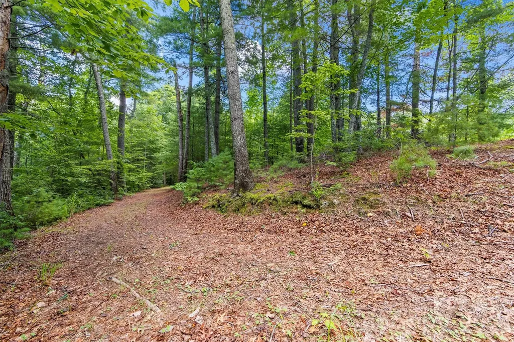 Lot 21 Big Raven Lane Saluda NC 28773