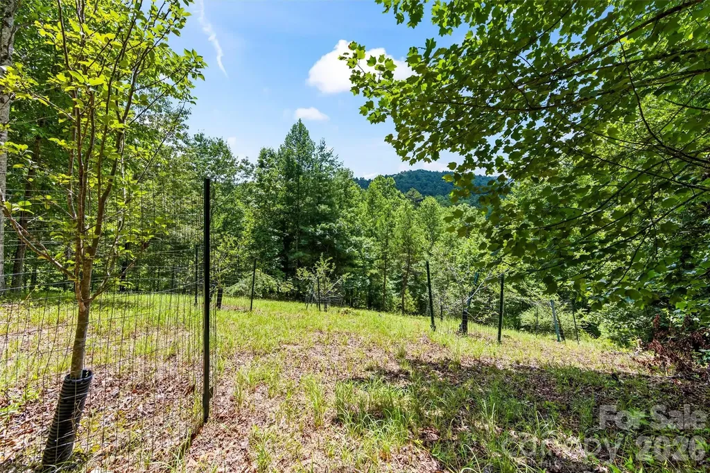 Lot 21 Big Raven Lane Saluda NC 28773