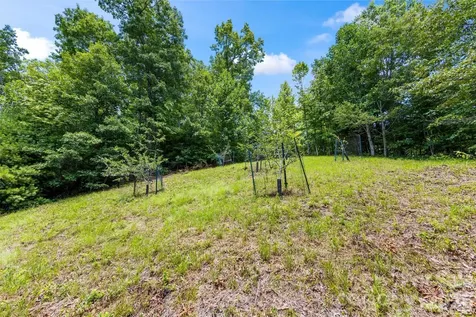 Lot 21 Big Raven Lane Saluda NC 28773