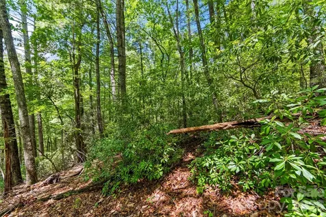 Lot 21 Big Raven Lane Saluda NC 28773