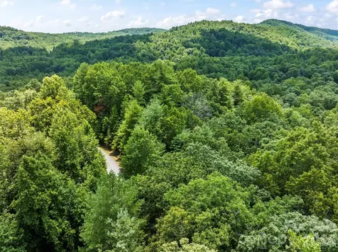 Lot 21 Big Raven Lane Saluda NC 28773