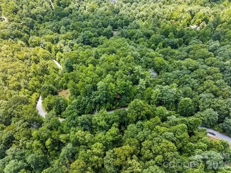 Lot 21 Big Raven Lane Saluda NC 28773