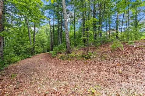 Lot 21 Big Raven Lane Saluda NC 28773