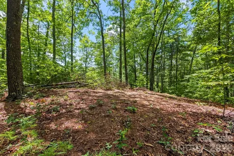 Lot 21 Big Raven Lane Saluda NC 28773