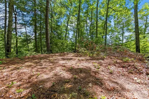 Lot 21 Big Raven Lane Saluda NC 28773