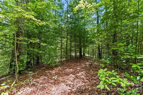 Lot 21 Big Raven Lane Saluda NC 28773