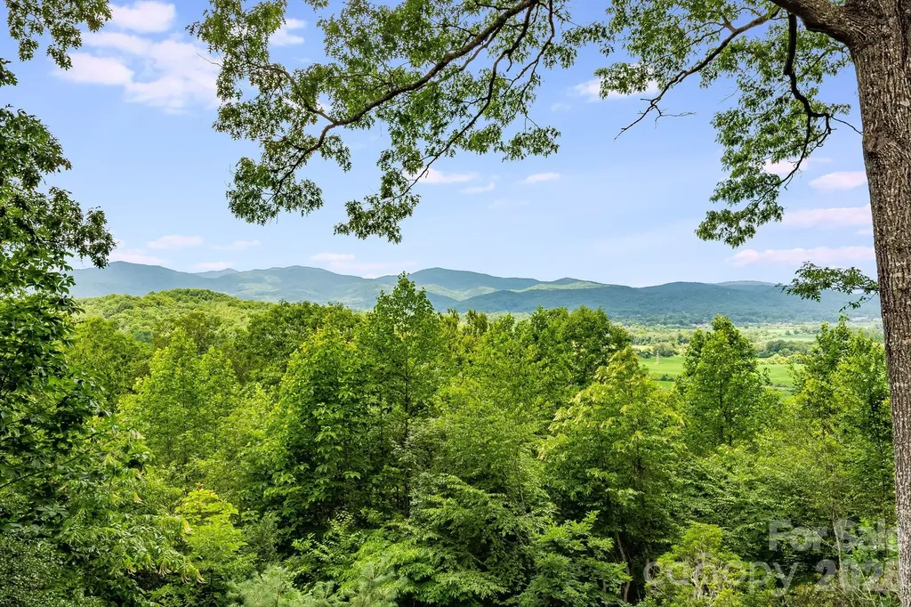 99 Oak Ridge Drive Pisgah Forest NC 28768