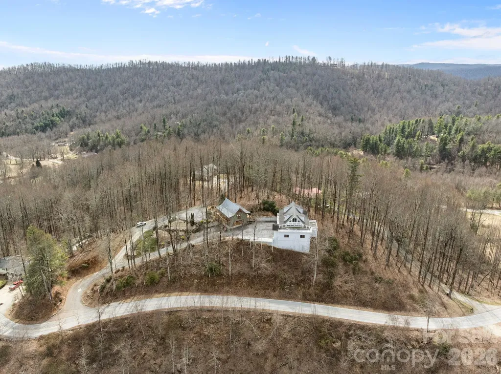6773 Pinnacle Mountain Road Zirconia NC 28790