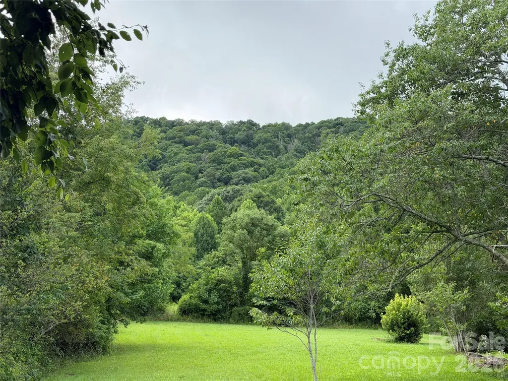 00 Trillium Way Clyde NC 28721
