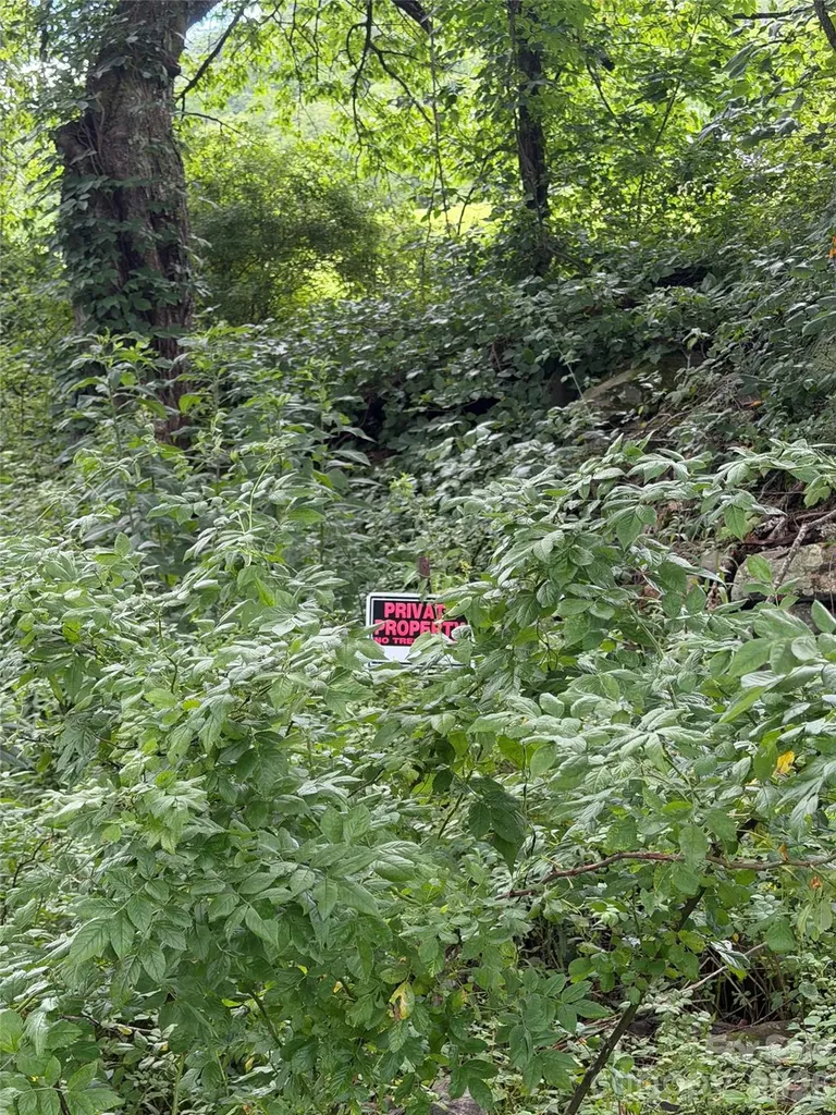 00 Trillium Way Clyde NC 28721