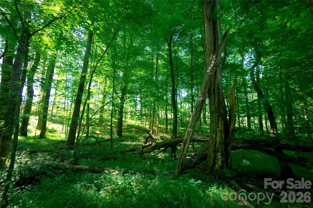 0 Carson Road Cleveland NC 27013