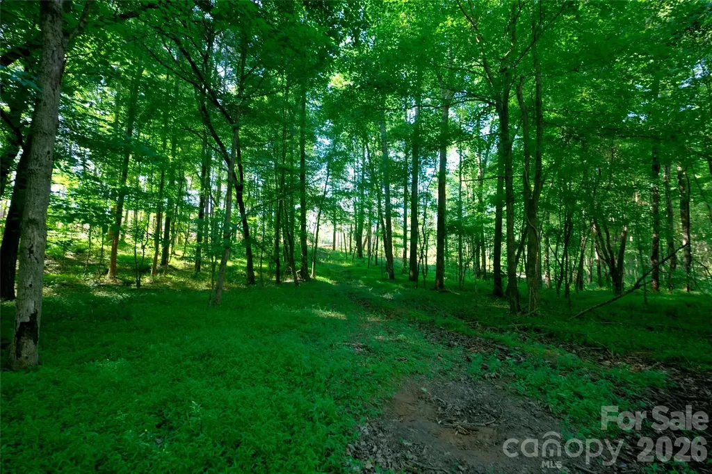 0 Carson Road Cleveland NC 27013