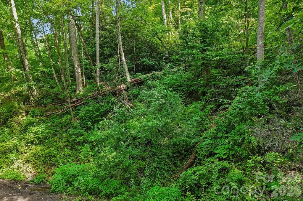 Tbd Indian Falls Road Asheville NC 28803