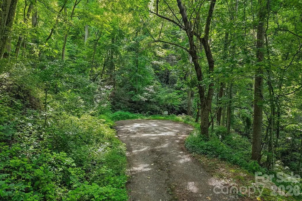 Tbd Indian Falls Road Asheville NC 28803