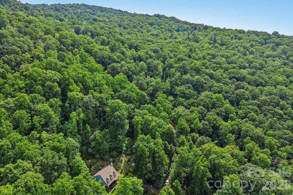 Tbd Indian Falls Road Asheville NC 28803