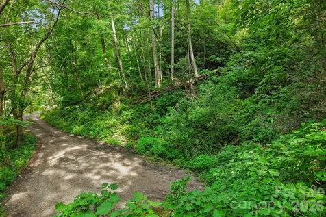 Tbd Indian Falls Road Asheville NC 28803