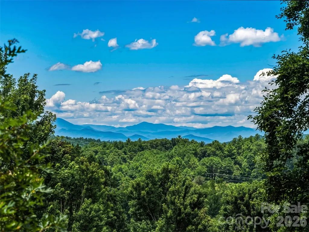 23 Village Overlook Loop Swannanoa NC 28778