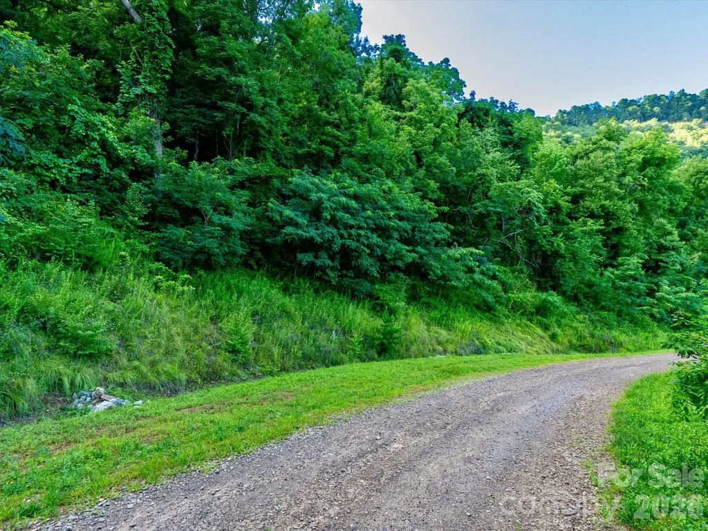 42 High Rock View Drive Canton NC 28716