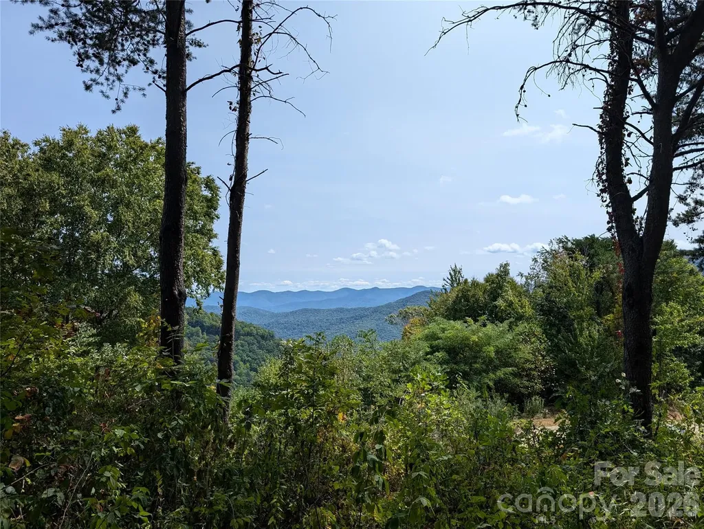 42 High Rock View Drive Canton NC 28716