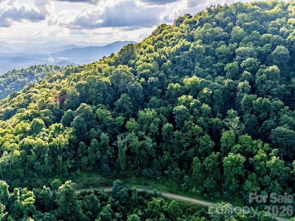 42 High Rock View Drive Canton NC 28716