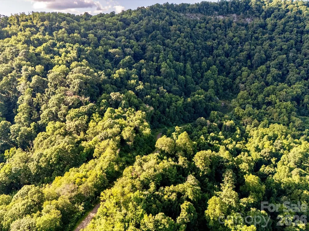 42 High Rock View Drive Canton NC 28716