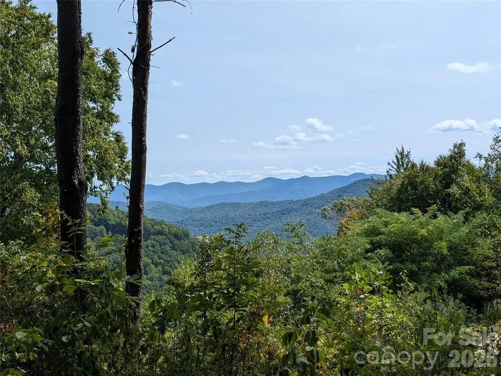 42 High Rock View Drive Canton NC 28716