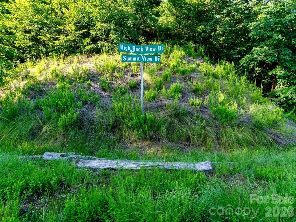 42 High Rock View Drive Canton NC 28716