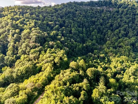 42 High Rock View Drive Canton NC 28716