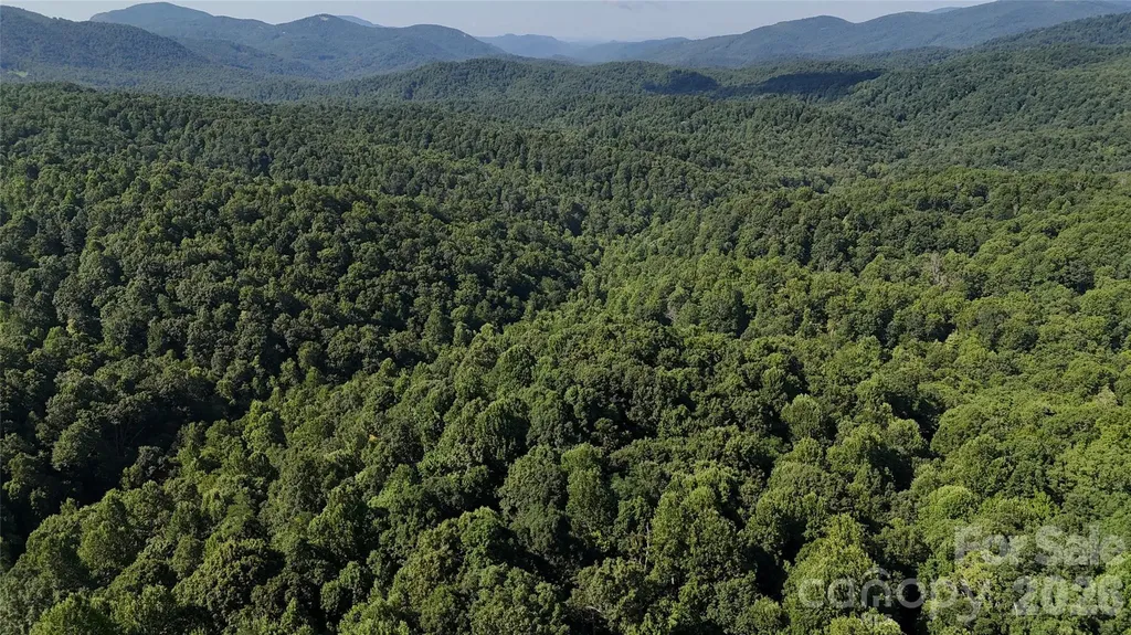 454 Forest Brook Road Black Mountain NC 28711