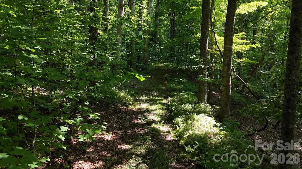 454 Forest Brook Road Black Mountain NC 28711