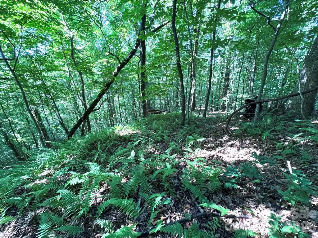 454 Forest Brook Road Black Mountain NC 28711