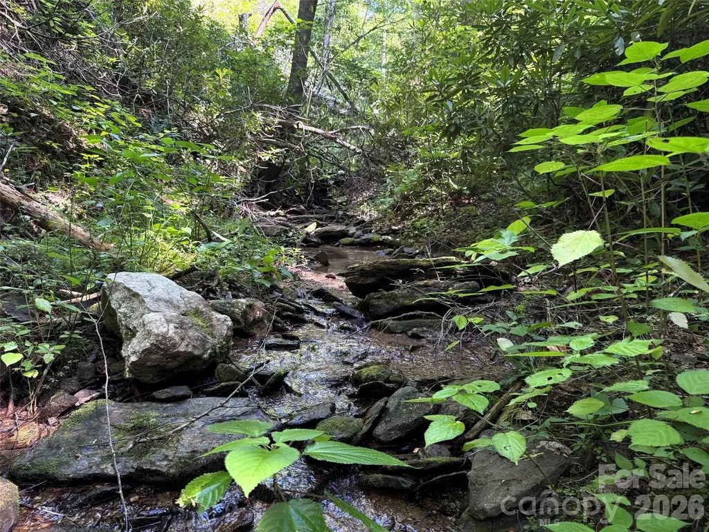 454 Forest Brook Road Black Mountain NC 28711