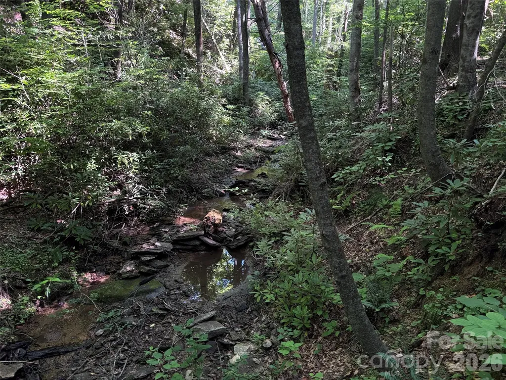 454 Forest Brook Road Black Mountain NC 28711