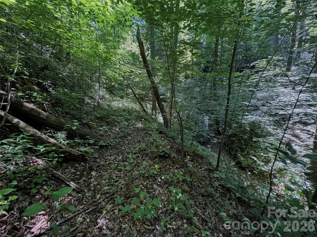 454 Forest Brook Road Black Mountain NC 28711