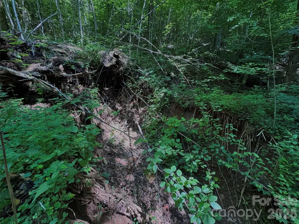 454 Forest Brook Road Black Mountain NC 28711