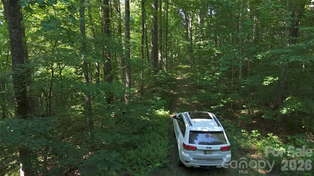 454 Forest Brook Road Black Mountain NC 28711
