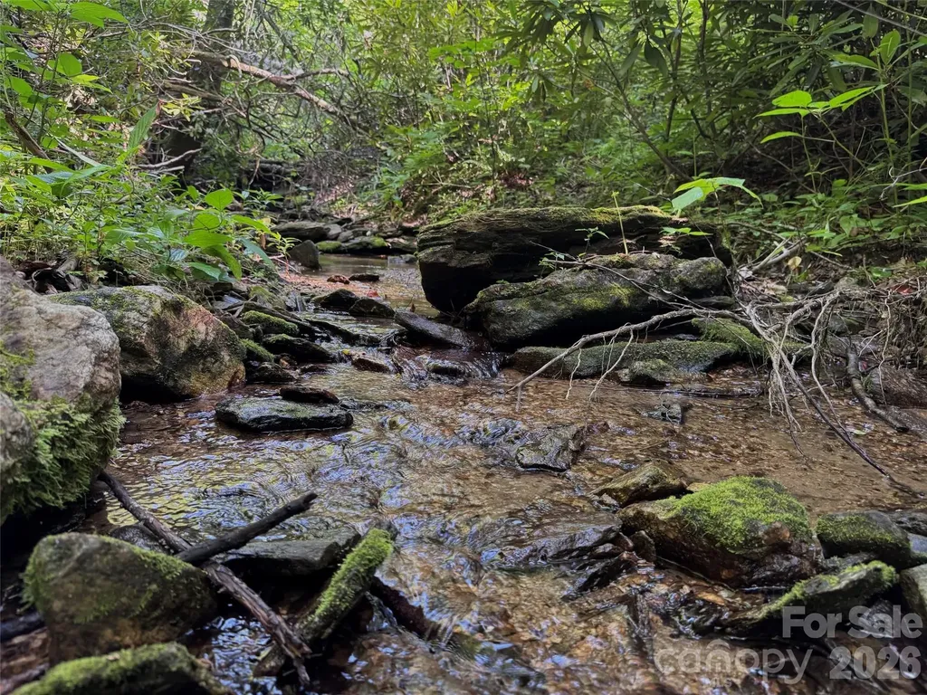 454 Forest Brook Road Black Mountain NC 28711