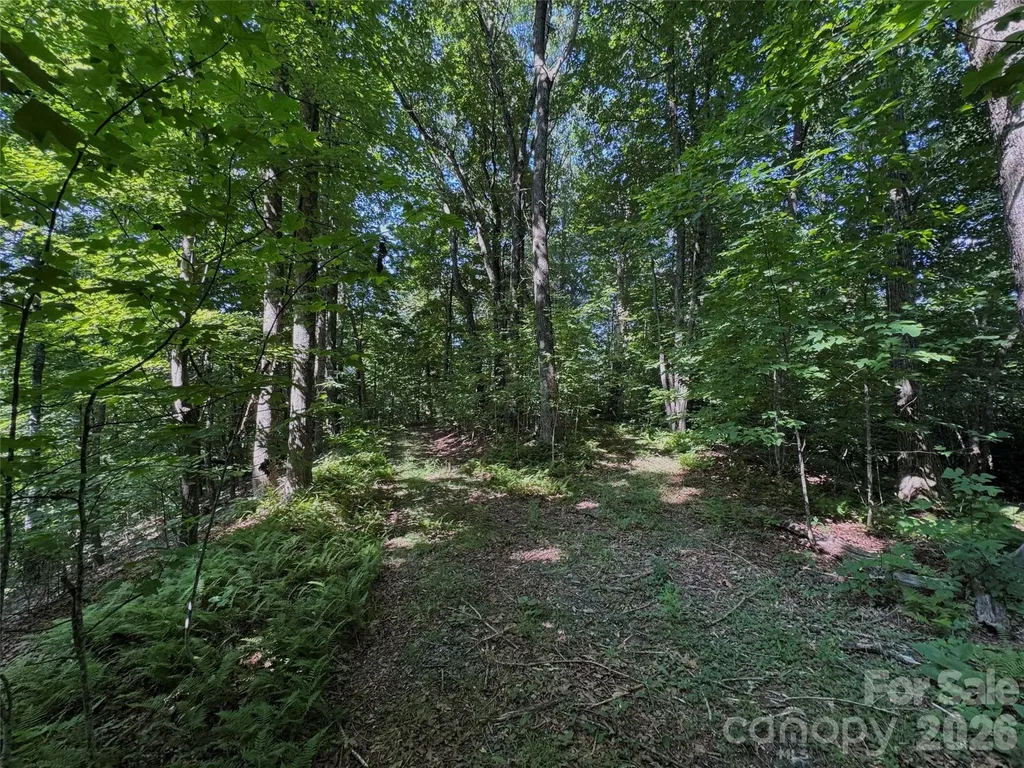 454 Forest Brook Road Black Mountain NC 28711