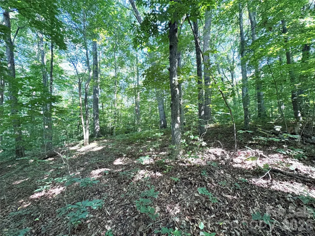 454 Forest Brook Road Black Mountain NC 28711