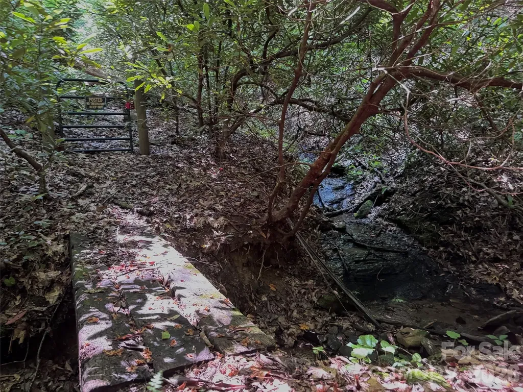454 Forest Brook Road Black Mountain NC 28711