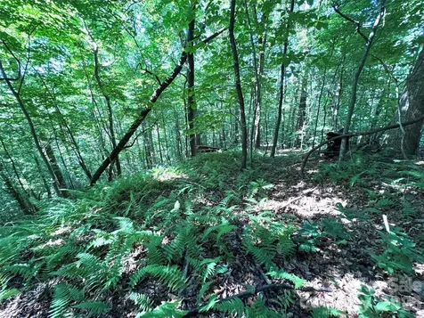 454 Forest Brook Road Black Mountain NC 28711