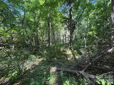 454 Forest Brook Road Black Mountain NC 28711