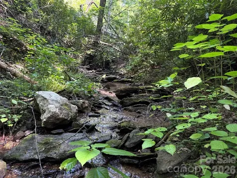 454 Forest Brook Road Black Mountain NC 28711