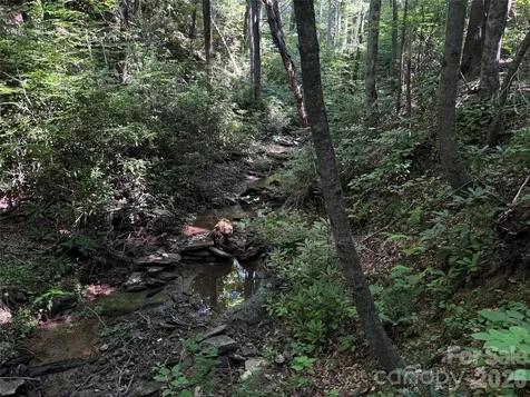 454 Forest Brook Road Black Mountain NC 28711